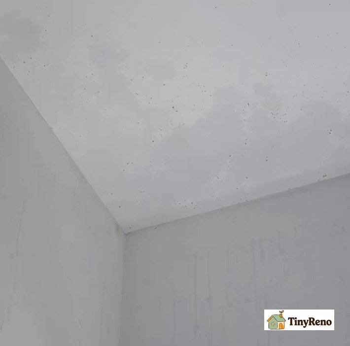 After removing the mold stains, just wait for painting next.