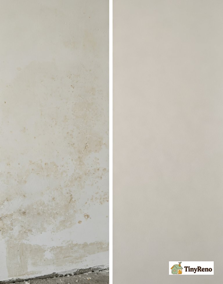 Demo comparison showing failed repair: regular latex paint covering stain that bleeds through; correct repair: stain sealed with proper primer, topcoat paint with no bleed-through.