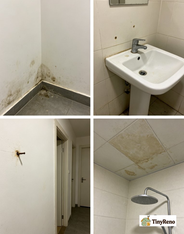 Side by side 4-panel illustration of the four wall scenarios: Daniel’s baseboard mold, Marcus’s sink mildew, Lila’s nail rust spot, Jessica’s shower ceiling mildew.