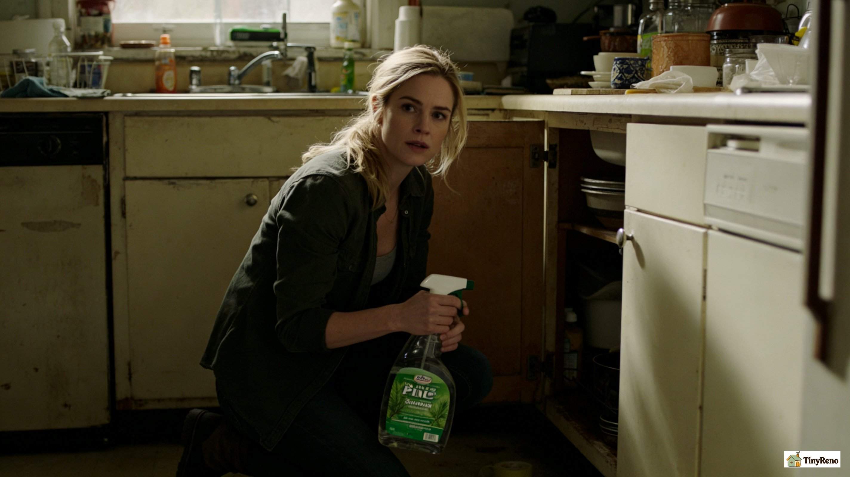 Does Pine Sol Keep Mice Away: 4 Tests, 2 Months, 1 Answer
