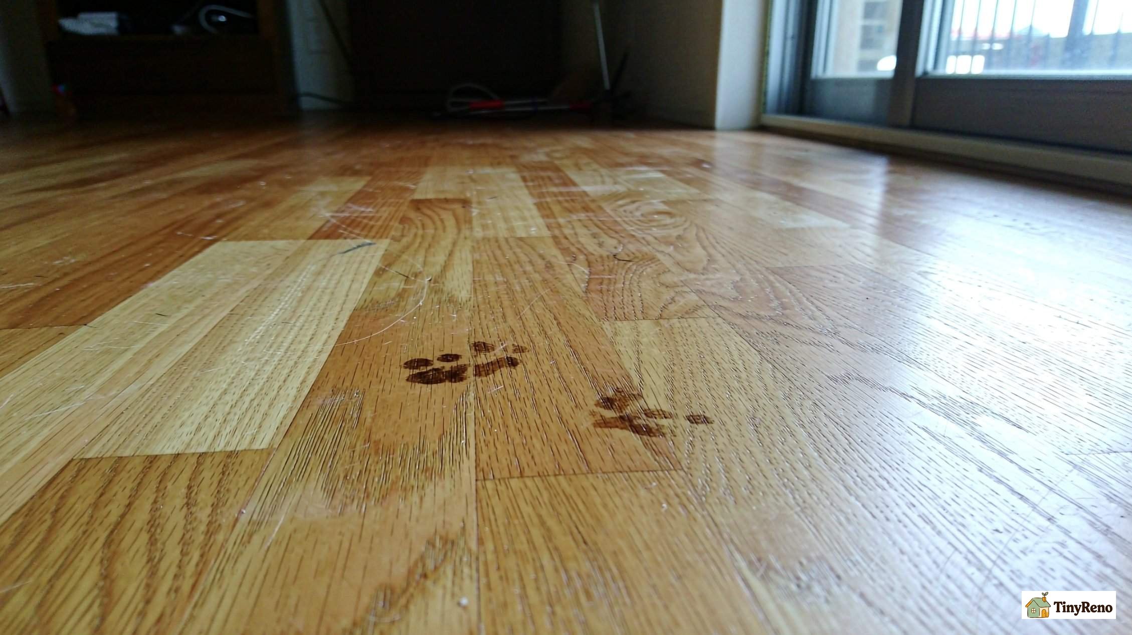 Light scuff marks and paw prints on a wooden floor near a door.