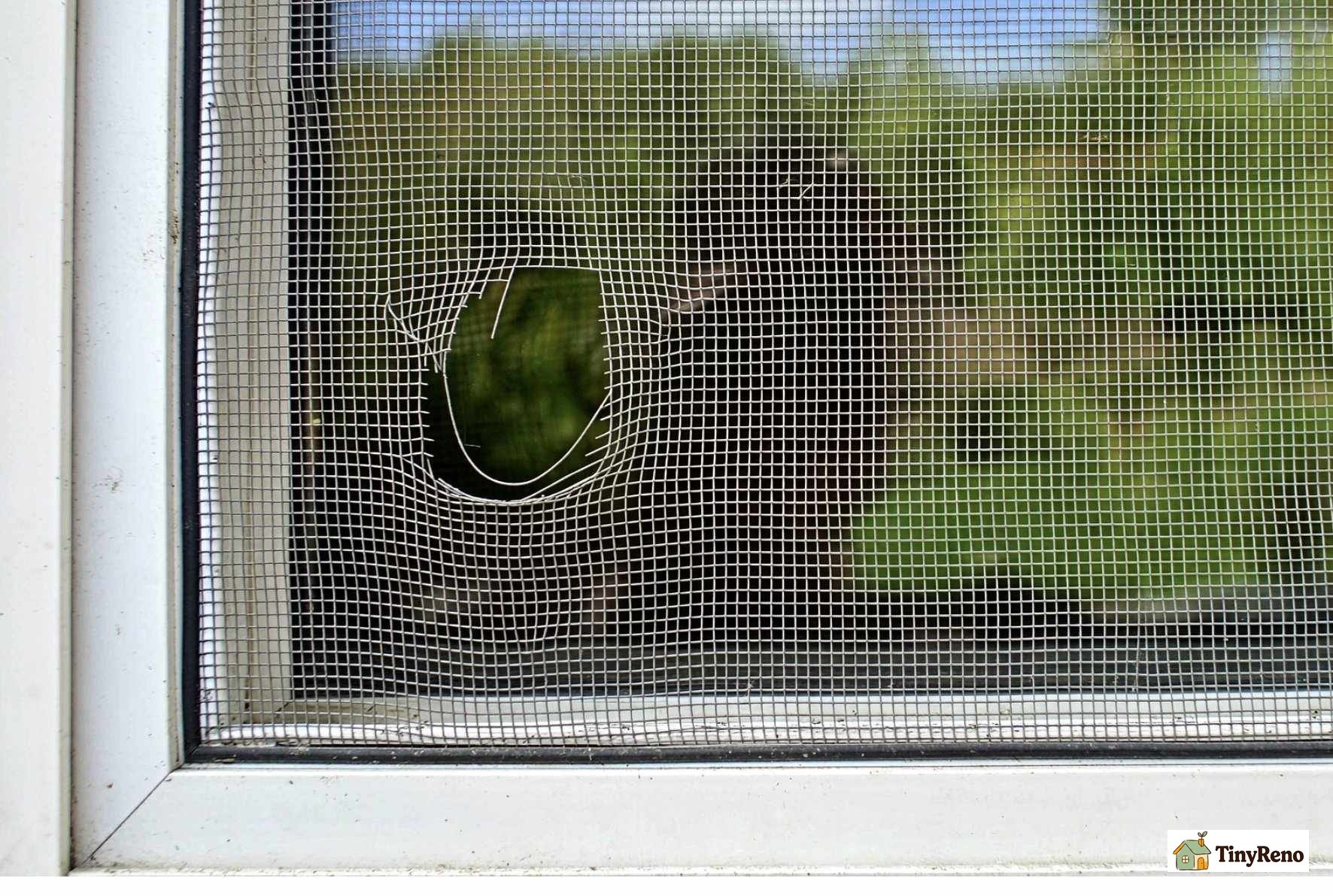 A torn mesh screen and a pre-existing scratch on a door frame.