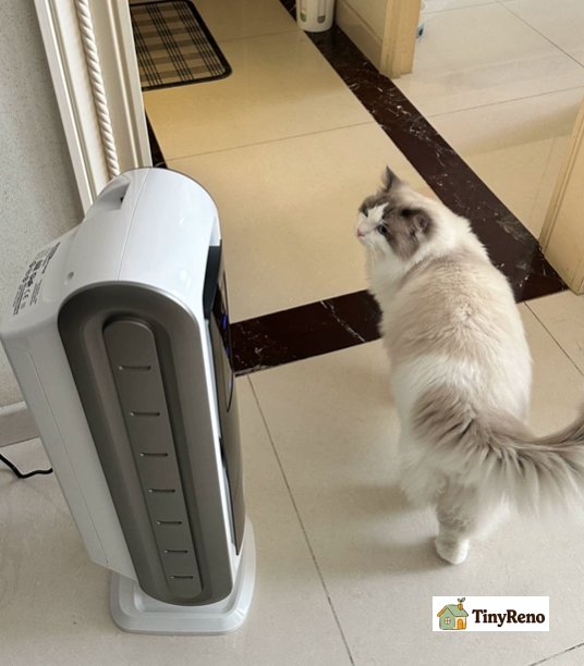 HEPA purifiers can effectively remove pet odors.